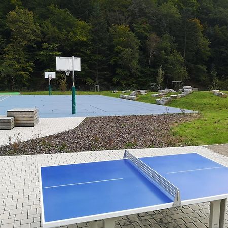 Ferienwohnung In Waldrandlage In Nationalpark Schleiden / Eifel Экстерьер фото