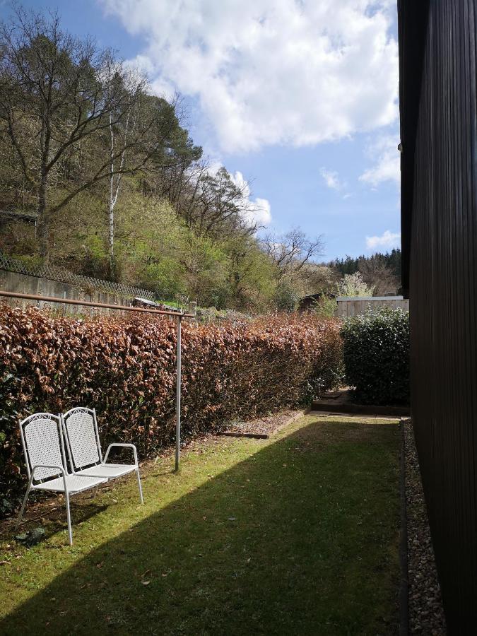 Ferienwohnung In Waldrandlage In Nationalpark Schleiden / Eifel Экстерьер фото