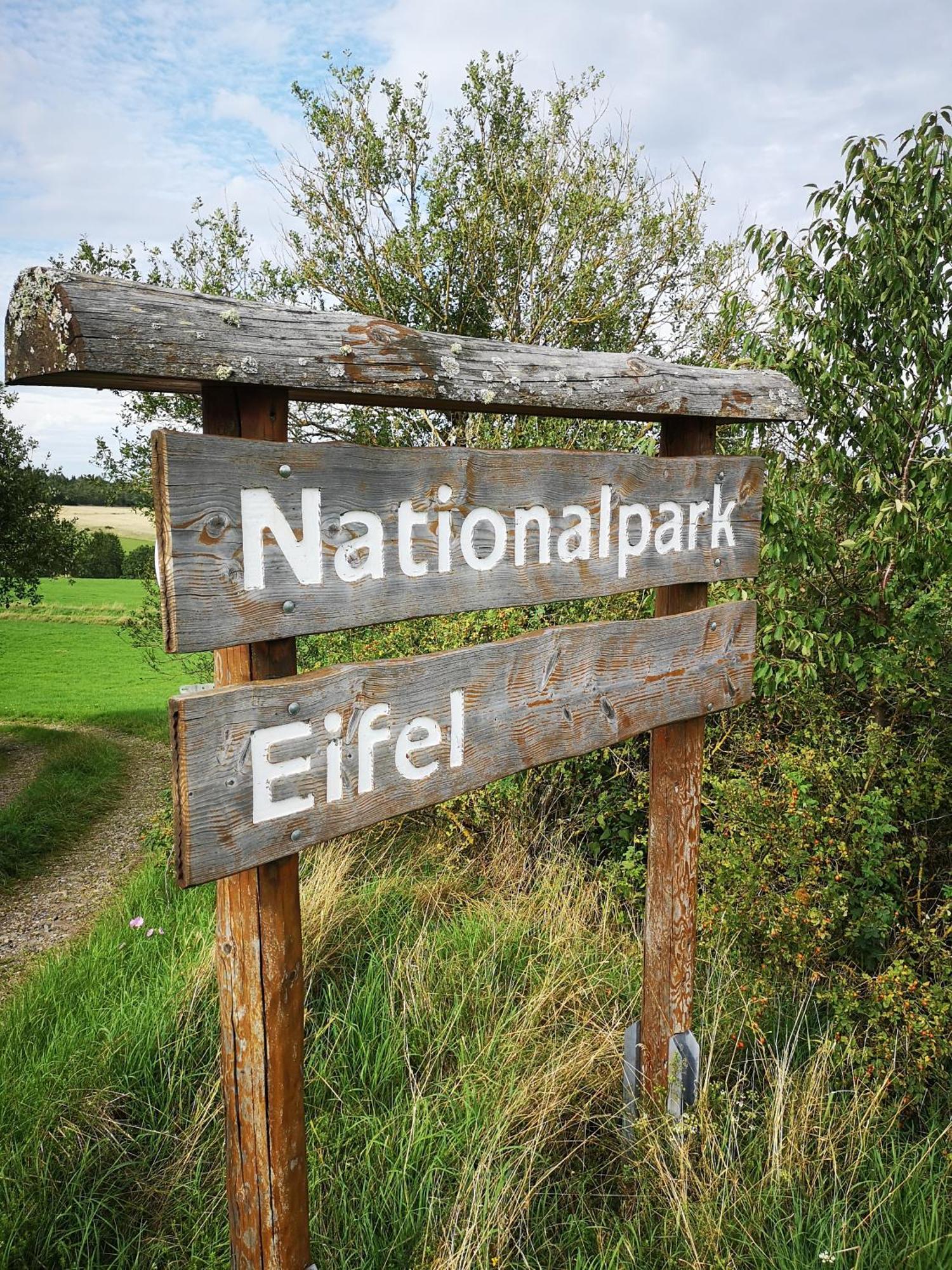 Ferienwohnung In Waldrandlage In Nationalpark Schleiden / Eifel Экстерьер фото