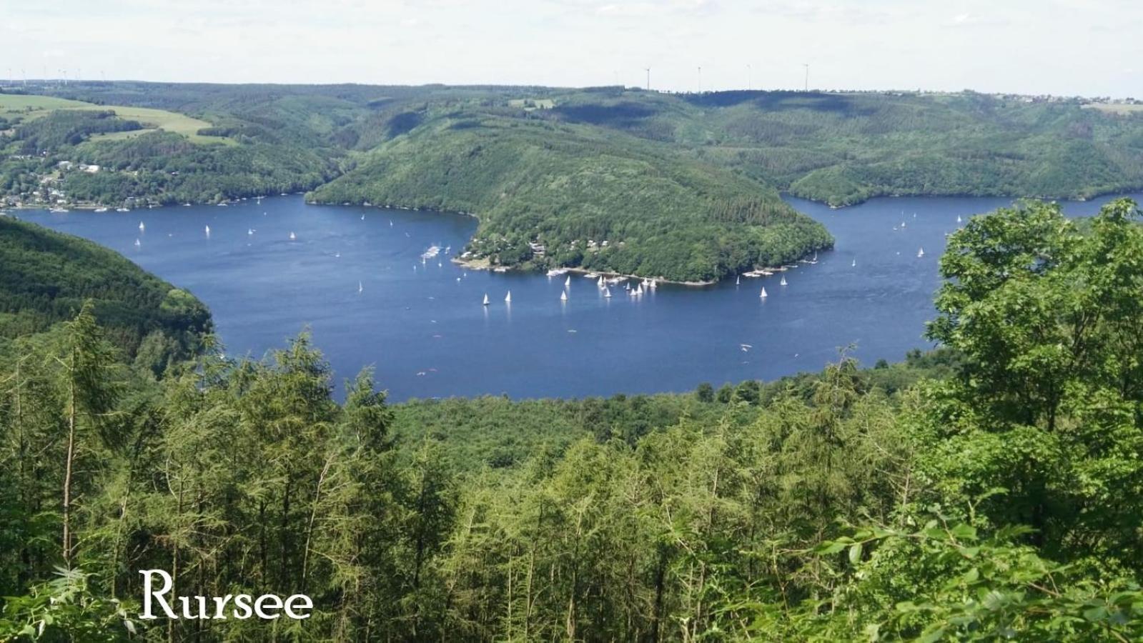 Ferienwohnung In Waldrandlage In Nationalpark Schleiden / Eifel Экстерьер фото