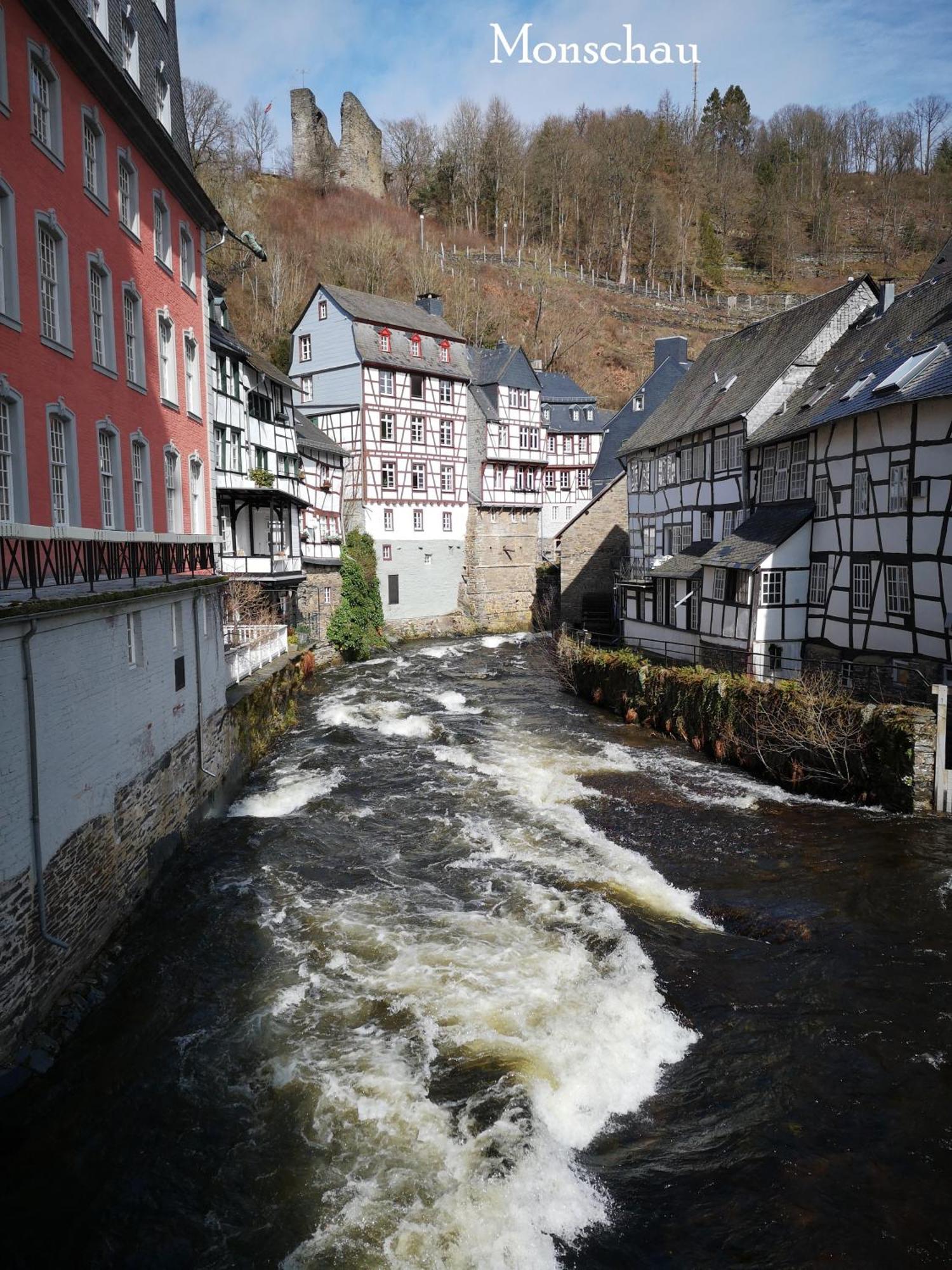 Ferienwohnung In Waldrandlage In Nationalpark Schleiden / Eifel Экстерьер фото