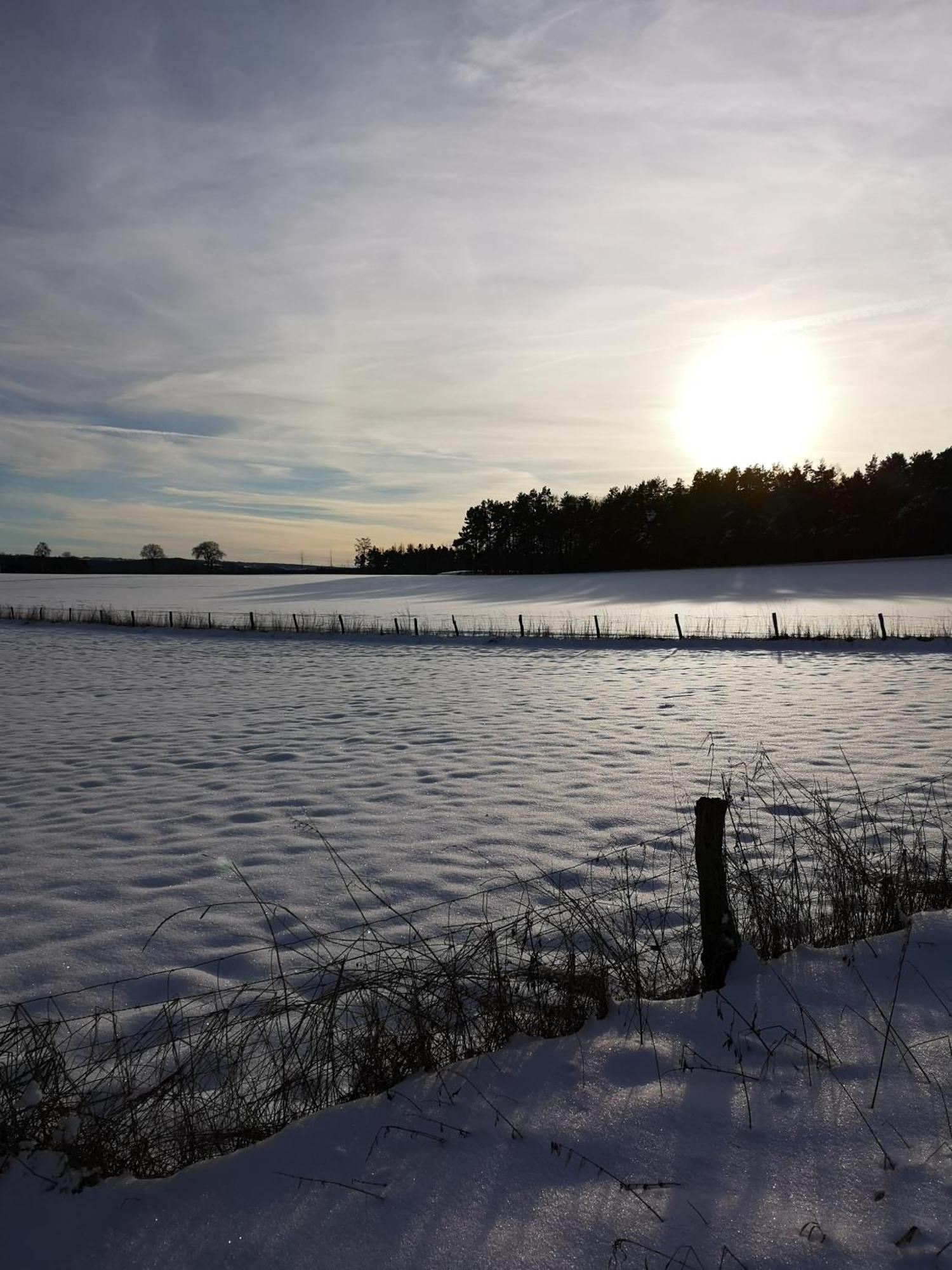 Ferienwohnung In Waldrandlage In Nationalpark Schleiden / Eifel Экстерьер фото