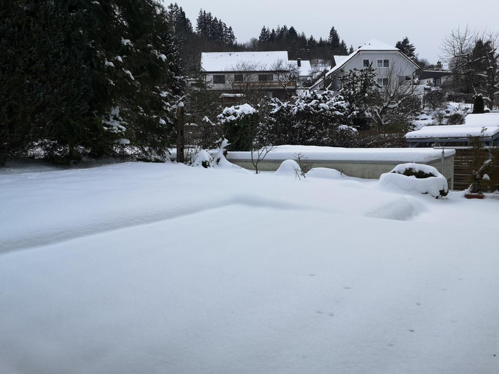 Ferienwohnung In Waldrandlage In Nationalpark Schleiden / Eifel Экстерьер фото