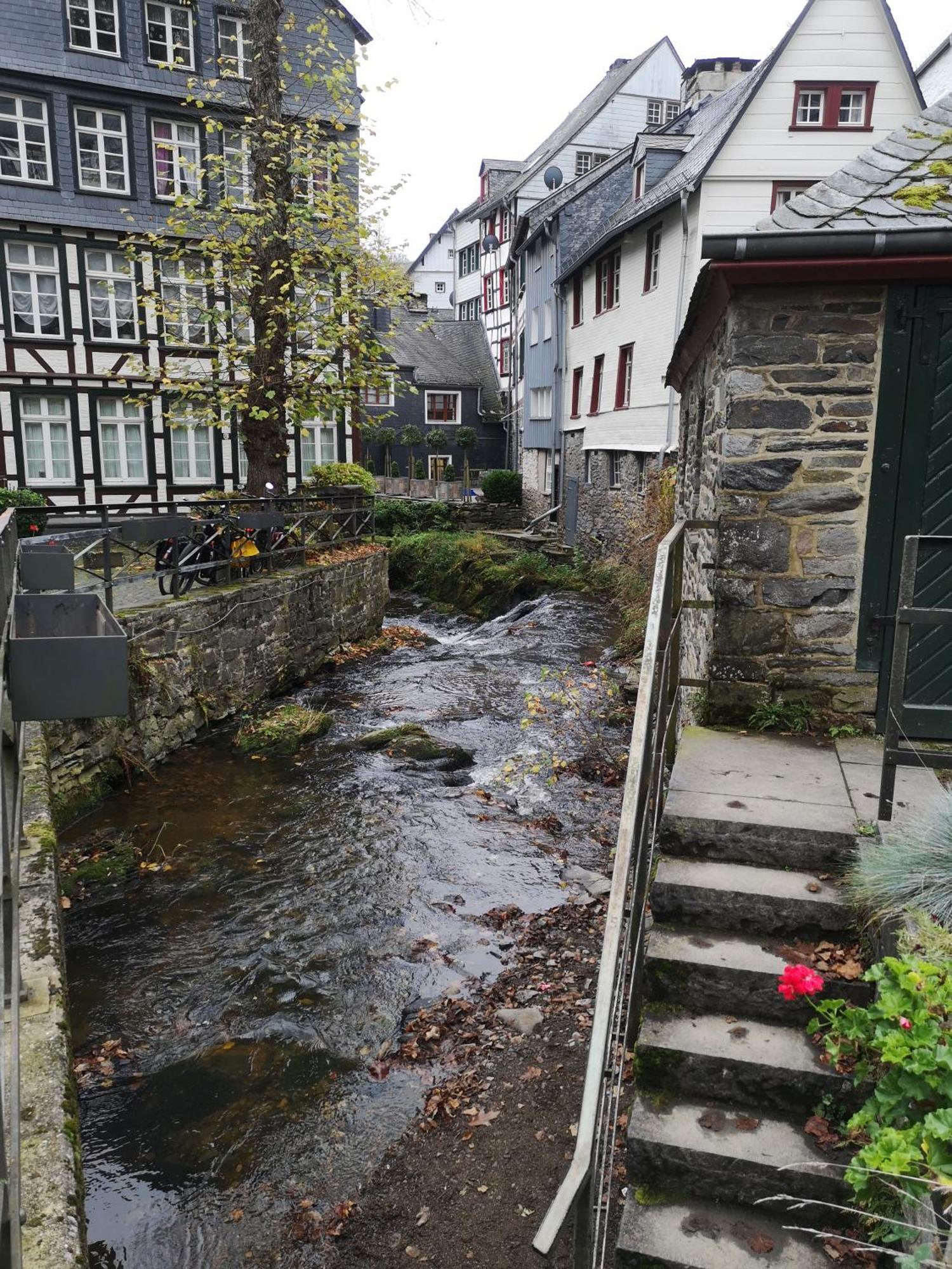 Ferienwohnung In Waldrandlage In Nationalpark Schleiden / Eifel Экстерьер фото