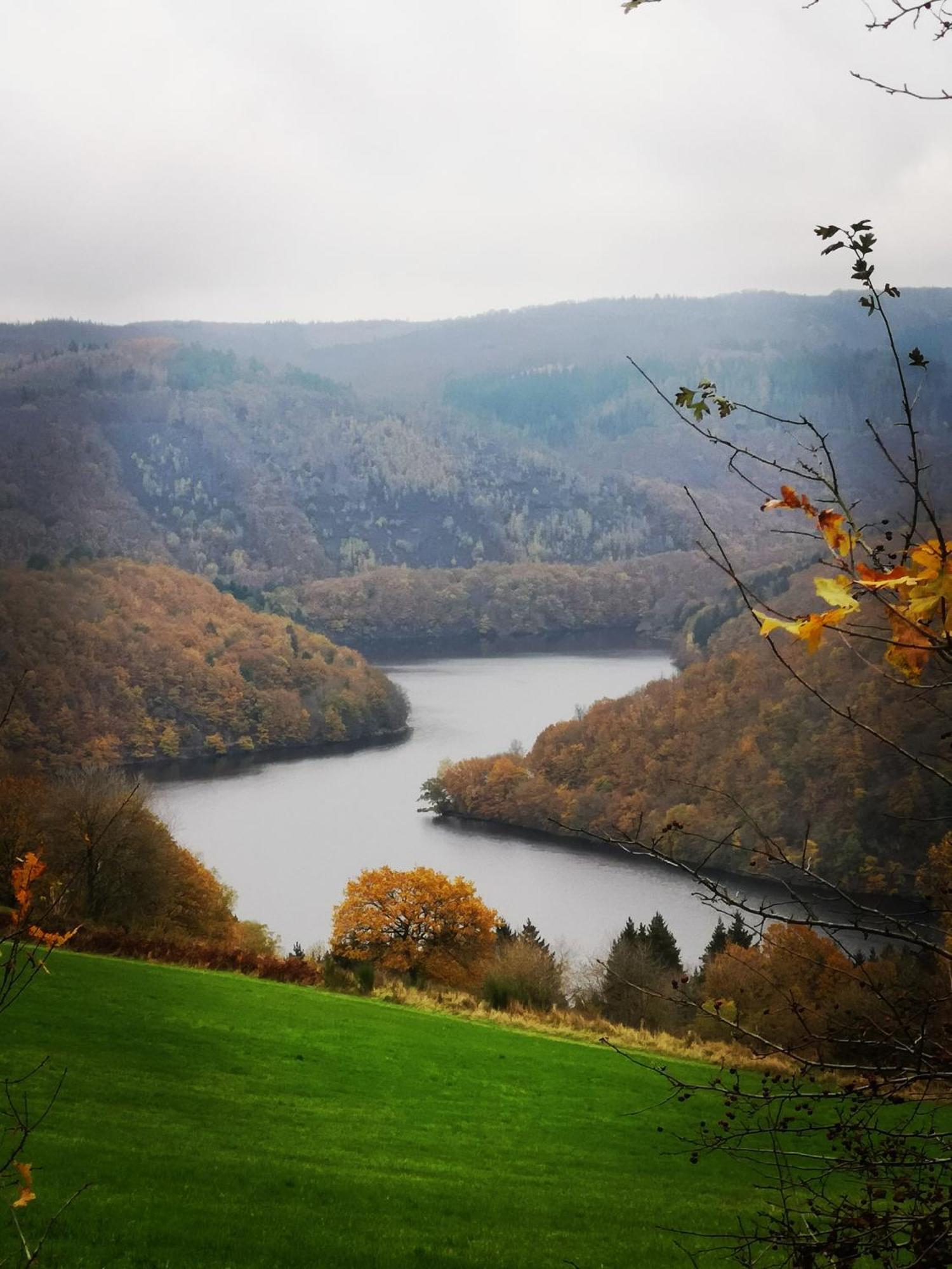 Ferienwohnung In Waldrandlage In Nationalpark Schleiden / Eifel Экстерьер фото
