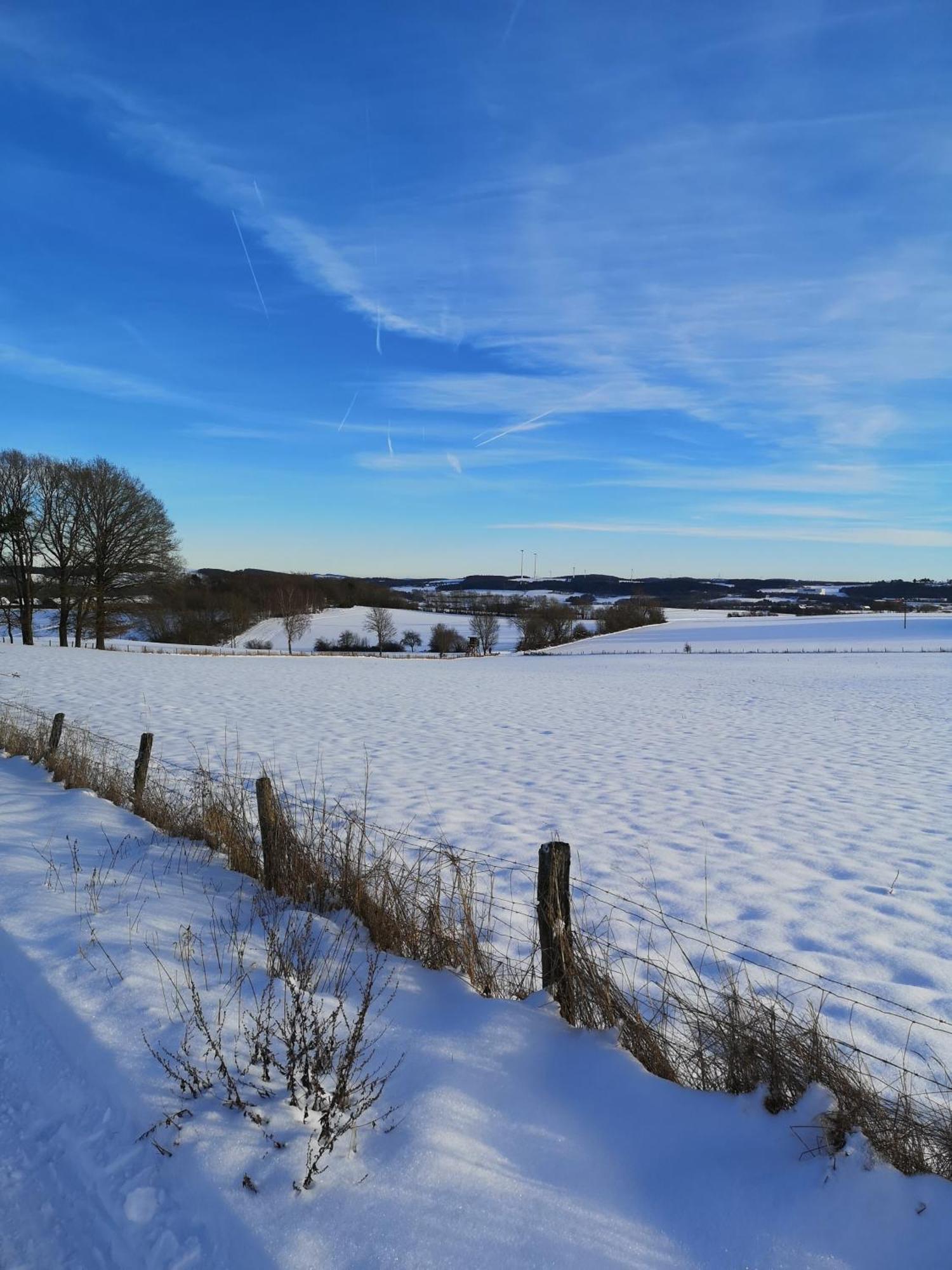 Ferienwohnung In Waldrandlage In Nationalpark Schleiden / Eifel Экстерьер фото
